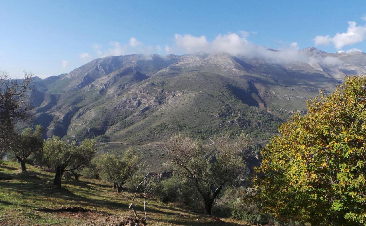 Cortijo Luque Villa Nerja Exteriör bild